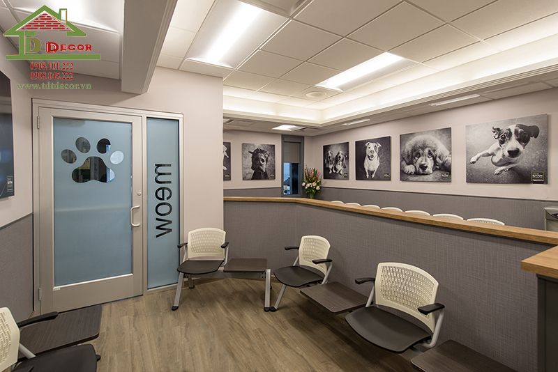 thiết kế phòng khám thú y