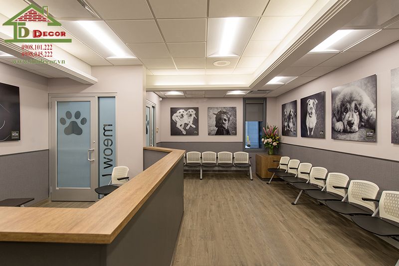 thiết kế phòng khám thú y