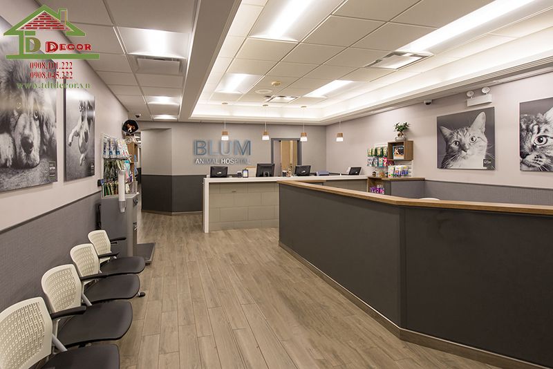 thiết kế phòng khám thú y